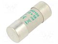 Fuse: fuse; 100A; 500VAC; aM; ceramic,cylindrical,industrial DF ELECTRIC 442100