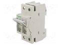 Fuse disconnector; D01; for DIN rail mounting; 13A; Poles: 1+N SCHNEIDER ELECTRIC MGN01613