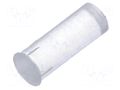 Fiber for LED; Ø3.3mm; L: 8mm; round; Front: flat; straight; PLPC3 BIVAR PLPC3-8MM