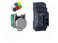 Switch: push-button; 22mm; Stabl.pos: 1; none; IP66; flat; Pos: 2 SCHNEIDER ELECTRIC XB4RFA02