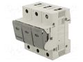 Fuse disconnector; D02; for DIN rail mounting; 25A; 400V; Poles: 3 MERSEN G1012627