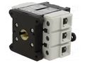 Switch disconnector body; Poles: 3; 80A; IP20; -20÷50°C SCHNEIDER ELECTRIC SCHNEIDER-V4