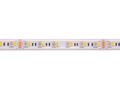 LED riba, 24V, 19,2W/m, veekindel IP67 T kuju, RGB +W 6500k, kõrge efektiivsusega, PREMIUM AKTO HM-5050-60-RGBWHT