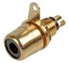 SOCKET, PHONO, GOLD/BLACK PSG08593