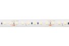 LED riba 24V, 9.6W/m, IP67, D vorm, 1025lm/m, külm valge 6500K, 117lm/W, PLUS AKTO HM-2835-120-WHDm24 4772081001844