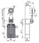 Modulaarne eeljuhtmega lüliti reguleeritava sirge metallist pöörleva hoova läbim. 20 rull NF B112KF-DN2, Pizzato NF-B112KF-DN2 8018851152856