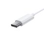 USB-C kõrvaklapid sisseehitatud mikrofoni ja kontrolleriga, valge NGCR010002 6932172604264