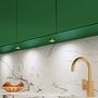 OVAL under cabinet LED luminaire 2W, gold, 4000K OVAL-2W-ZL-DY-40K-01 5908293403155