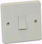 1G1W PLATE SWITCH 10A 4070