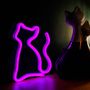 Neoon LED Light CAT roosa nahkhiir + USB FLNEO4 Forever Light RTV100210 5900495949363