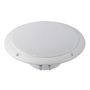 FR 16 WP - 4 Ohm (white) - Saltwater resistant 16 cm (6.5") full-range speaker VS-FR16WP/4 4007540021164