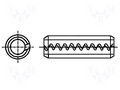 Springy stud; spring steel; BN 879; Ø: 3mm; L: 10mm BOSSARD B3X10/BN879