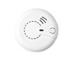 GSM ESIM wireless smoke and CO detector EWF1CO RGSMEWF1CO