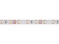 FLEXIBLE LED STRIP - COLD WHITE - 300 LEDs - 5 m - 12 V LS12M130CW1 5410329667290; 5410329678906; 5410329678913