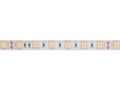 FLEXIBLE LED STRIP - WARM WHITE - 300 LEDs - 5 m - 24 V LS24M230WW1 5410329668143