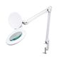 LED desk working lamp with magnifying glass - 8 dioptre - 8 W - 60 LEDs - white VTLLAMP4WN 5410329728052
