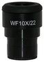 10X EYEPIECE, STEREO MICROSCOPE S-102