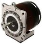 Variable Transformer 117CU