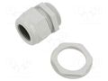 Cable gland; M40; 1.5; IP68; polyamide; grey SCHNEIDER ELECTRIC ISM71506