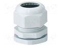 Cable gland; M40; 1.5; IP66,IP67; polyamide; light grey HENSEL HENSEL-AKM-40