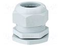 Cable gland; PG42; IP65; polyamide; light grey HENSEL HENSEL-AKS-42