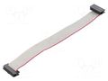 Ribbon cable with IDC connectors; Tape ph: 1mm; Contacts ph: 2mm CONNFLY DS1052-01-14NA2015