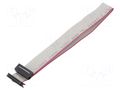 Ribbon cable with IDC connectors; Tape ph: 1mm; Contacts ph: 2mm CONNFLY DS1052-01-16NA2030