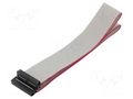 Ribbon cable with IDC connectors; Tape ph: 1mm; Contacts ph: 2mm CONNFLY DS1052-01-26NA2060
