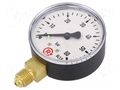 Manometer; 0÷60bar; G 1/4",bottom connection; 63mm; plastic PNEUMAT 121-K