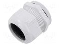 Cable gland; M63; 1.5; polyamide; light grey; SKINTOP® LAPP ST-M63-R7035