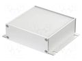 Enclosure: with panel; with fixing lugs; Filotec; X: 105mm; Z: 36mm BOPLA F1036-100WL-SET