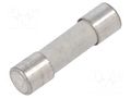 Fuse: fuse; 6.3A; 250VAC; quick blow SIBA 179021.6.3
