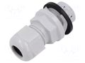 Cable gland; M40; IP68; polyamide; light grey; push-in; Entrelec TE Connectivity 1SNG622031R0000