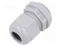 Cable gland; M20; 1.5; IP68; polyamide; light grey; Entrelec TE Connectivity 1SNG626049R0000