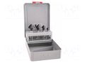 Countersink; high speed steel cobalt HSS-Co; 4pcs. ALPEN-MAYKESTAG ALP.238700004100
