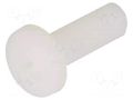 Screw; M10x30; Head: cheese head; Phillips; polyamide; ISO 7045 DREMEC DR8G206M10X30