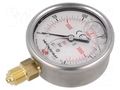 Glycerin manometer; 0÷250bar; 63mm; stainless steel; Class: 1.6 PNEUMAT M63R.GL250G14