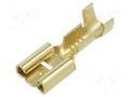 Terminal: flat; 6.3mm; 0.8mm; female; 1÷2.5mm2; crimped; for cable ERKO MS-6.3-2/100