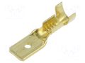 Non-insulated terminal TS_6,3-2/100 ERKO TS-6.3-2/100