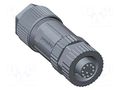 Connector: M12; 2A; 30V; plug; female; PIN: 8; IP67,IP68; straight AMPHENOL LTW MSAS-08BFFA-SL7001
