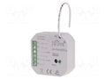 Two-channel controller; F&Home; 868MHz F&F RH-PWM2S2-LR