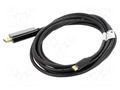 Adapter; DisplayPort 1.2,USB 3.2; DisplayPort plug,USB C plug LANBERG CA-CMDP10CU-0030BK