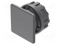 Plug; 22mm; OptoHiT; Ø22.5mm; black; plastic; Face dim: 30x30mm EAO 704.964.7
