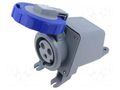 Connector: AC supply 3-phase; socket; female; PIN: 3; 30A; 250V AMPHENOL 2CMA167172R1000