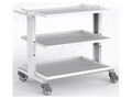 Trolley; ESD; W: 900mm; D: 625mm; steel; light grey; 10kΩ÷100MΩ RT WORK ESD-CART02