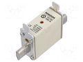 Fuse: fuse; 100A; 500VAC; gG; industrial; NH000 NIKDIM LTD 3230100