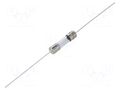 Fuse: fuse; 1.25A; 250VAC; time-lag; cylindrical,glass; 5.4x22.5mm SCHURTER 0034.3118.PT