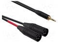 Cable; Jack 3.5mm plug,XLR male 3pin x2; 20m; black; PVC REDS MUSIC AU37200BX