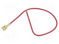 Cable: cable with crimped terminals; red; Len: 250mm; H05V-K CHEVAL J63-050RD025
