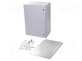 Enclosure: wall mounting; X: 600mm; Y: 800mm; Z: 250mm; AX; steel RITTAL RITTAL-1058000